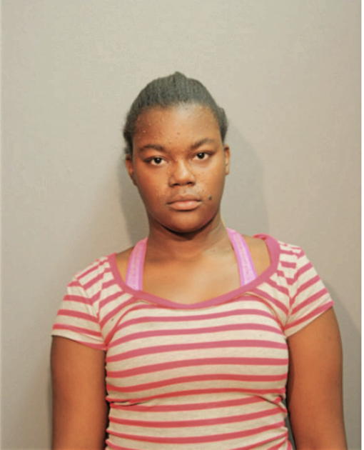 JAMICA PRINCESS HOLLINESS, Cook County, Illinois