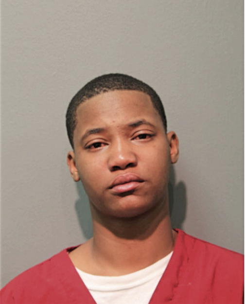 DANIELLE M HUDSON, Cook County, Illinois