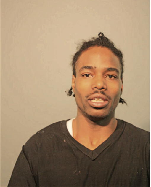 TERRY L KING, Cook County, Illinois
