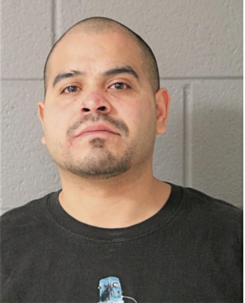 JESUS MENDOZA, Cook County, Illinois