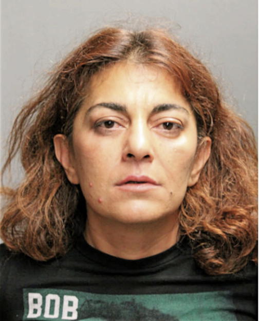 MEHSIMA MOALLEM, Cook County, Illinois