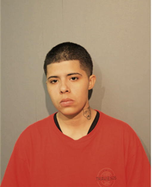 DELIANA J NIEVES, Cook County, Illinois