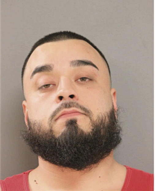 MIGUEL PALOMINO, Cook County, Illinois