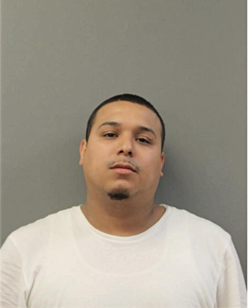 OTILIO PONCE, Cook County, Illinois