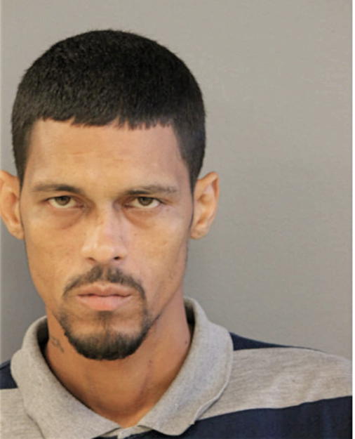 ANTONIO SAEZ RODRIGUEZ, Cook County, Illinois