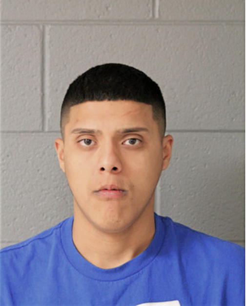 ISMAEL SIERRA, Cook County, Illinois