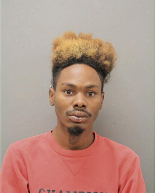 DARVIS L SPIVEY, Cook County, Illinois