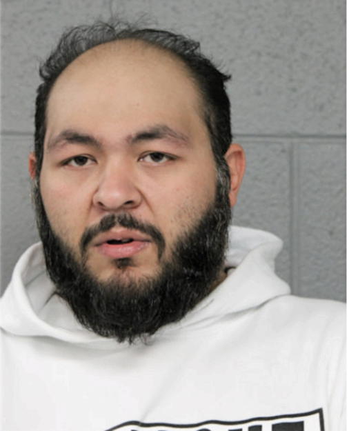 JOE TAN, Cook County, Illinois