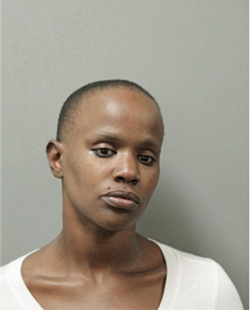 AMBER L TOMKINS, Cook County, Illinois