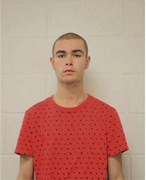 LUC R VAN BRENK, Cook County, Illinois