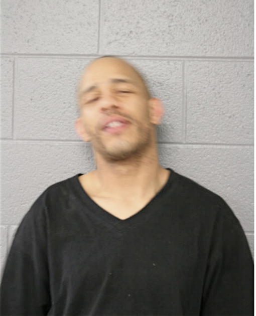 CARL D WHITE, Cook County, Illinois