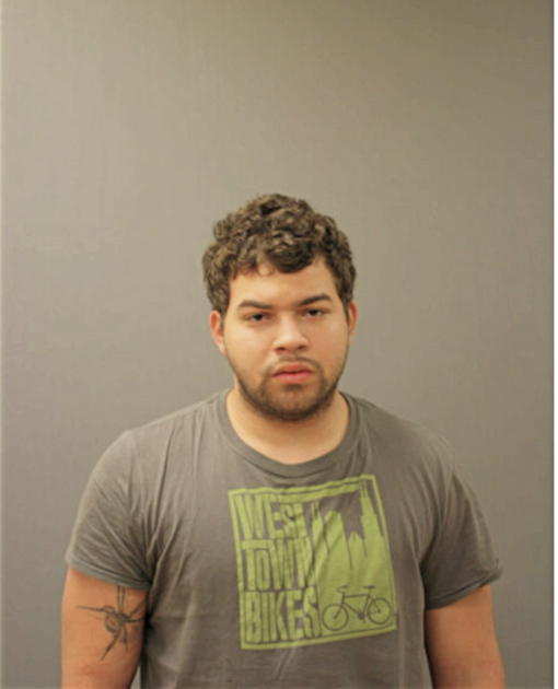 HECTOR F ACOSTA, Cook County, Illinois