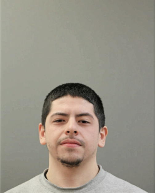 NOE A AGRAMONTE, Cook County, Illinois