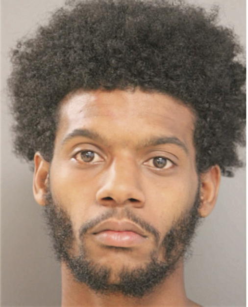 MICHAEL L ALLEN, Cook County, Illinois