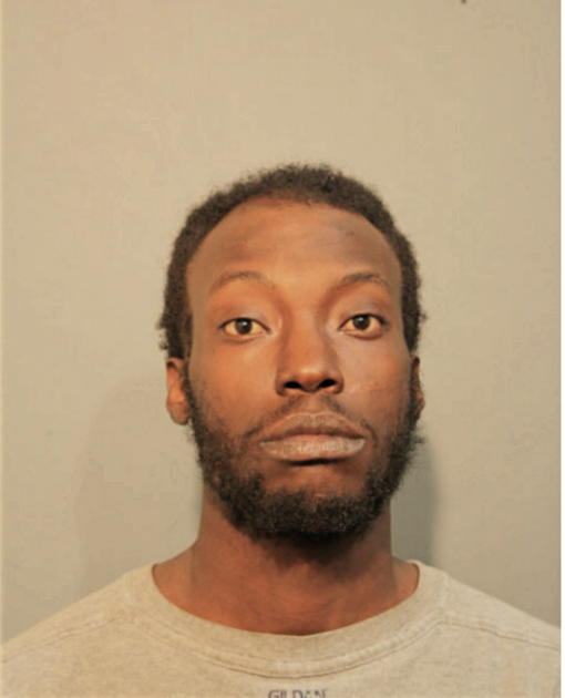 JOSHUA L BOWERS, Cook County, Illinois