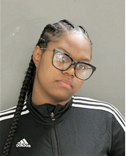 GINGER L BOYD, Cook County, Illinois