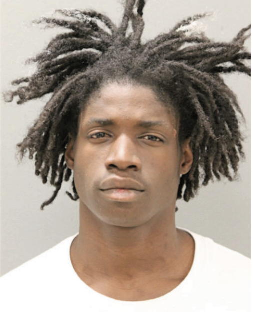 CHRISTIAN A BROWN, Cook County, Illinois