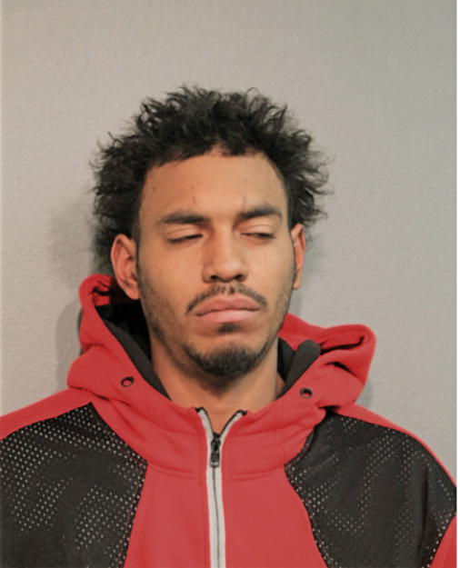MILO D BROWN, Cook County, Illinois