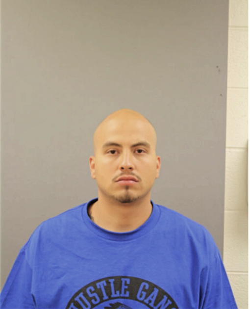 LUIS R CANDELARIA, Cook County, Illinois