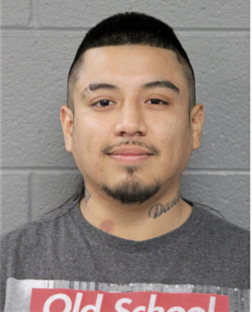 BRIAN SALVADOR ENRIQUEZ, Cook County, Illinois
