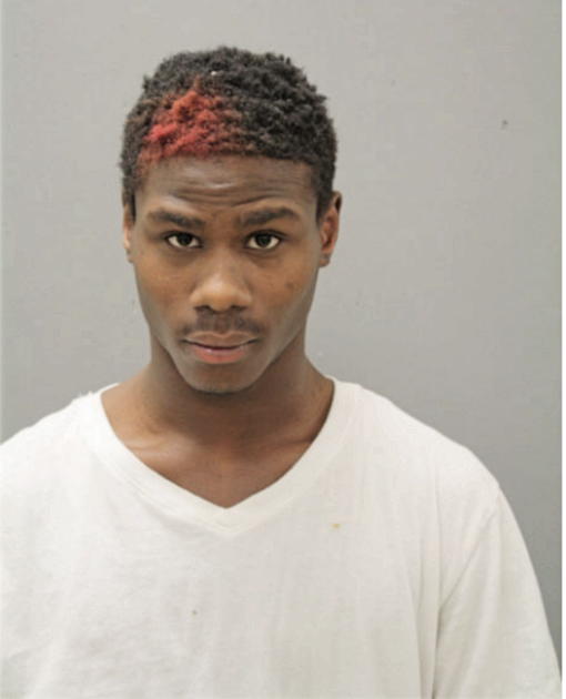 LEANDREW GIBSON, Cook County, Illinois