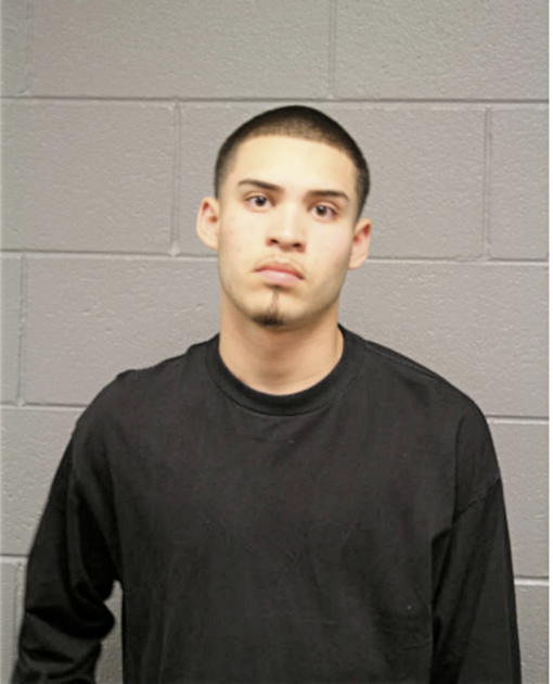 JOSE M GUZMAN, Cook County, Illinois