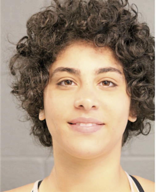 AILEEN R HALAIKAH, Cook County, Illinois