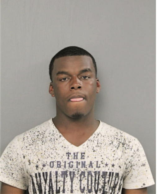 MARK A HALL, Cook County, Illinois