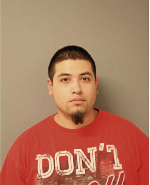 JORGE L HERNANDEZ, Cook County, Illinois