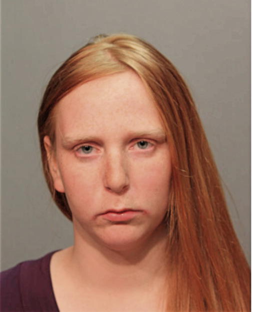LYDIA R HOLMES, Cook County, Illinois