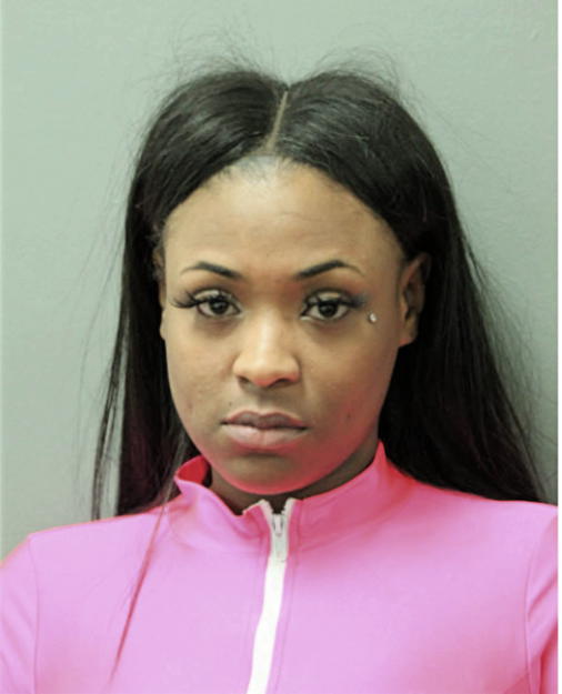 BRIANNA M JOHNSON, Cook County, Illinois
