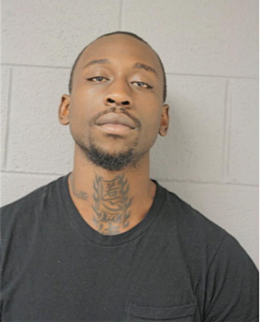 MARVIN J JOHNSON, Cook County, Illinois