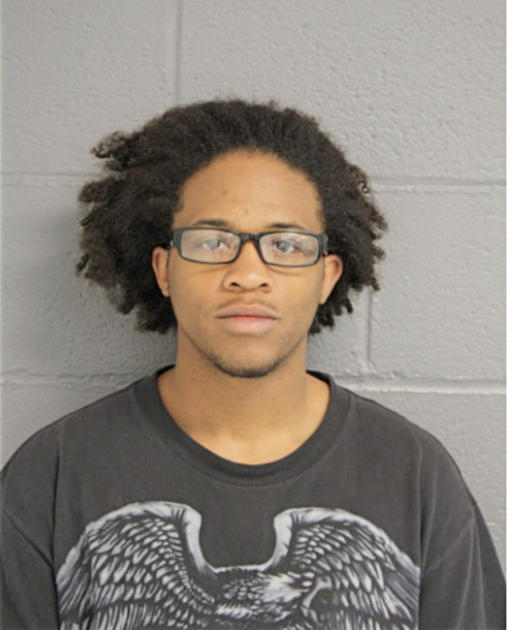 SHAWN J LEE, Cook County, Illinois