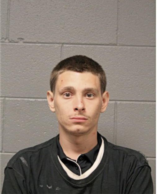 RYAN A MEISTER, Cook County, Illinois