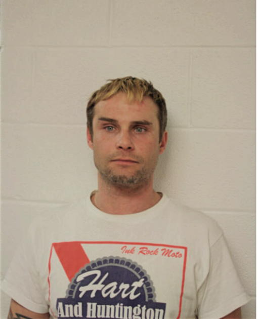 DAVID MOSENKIS, Cook County, Illinois