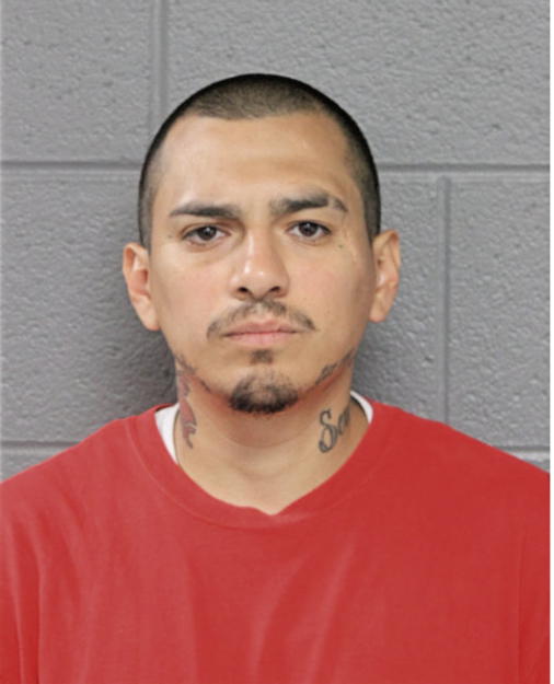 ENRIQUE NAPOLES, Cook County, Illinois