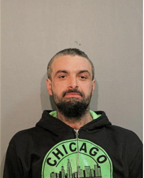 SLAVKO NISAVIC, Cook County, Illinois