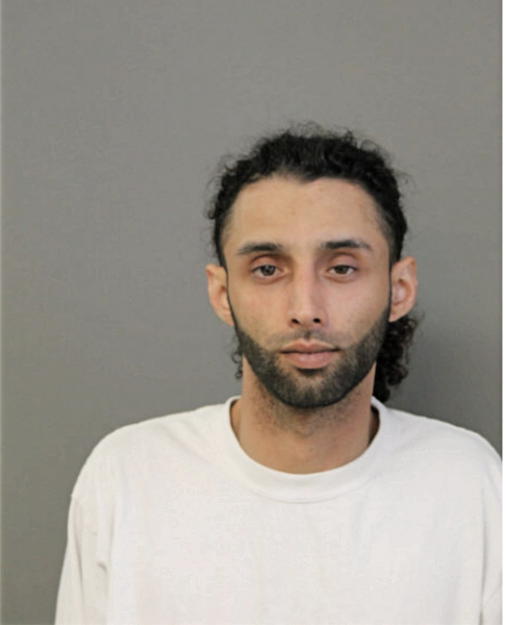 JOVANY LUIS ORTIZ, Cook County, Illinois