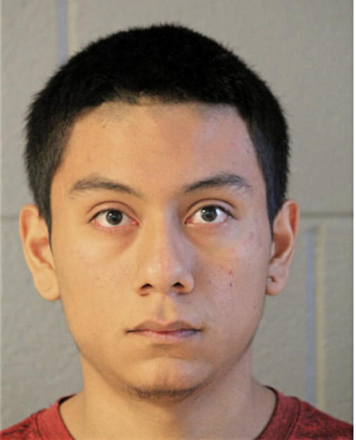 JOSE J REYES GARCIA, Cook County, Illinois