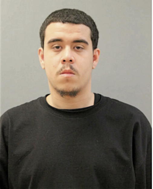 WILFREDO RODRIGUEZ, Cook County, Illinois