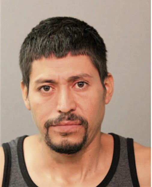 ARTURO SANCHEZ ROLDON, Cook County, Illinois