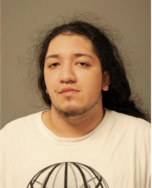 LUIS D SANCHEZ, Cook County, Illinois