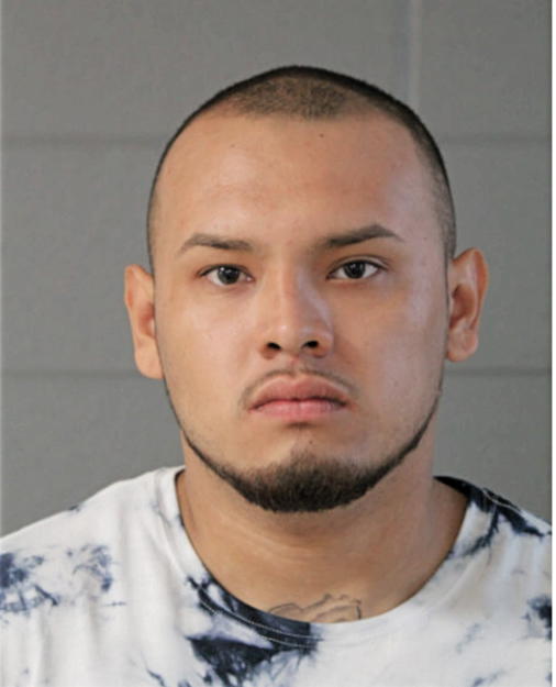ABEL R TAMAYO, Cook County, Illinois