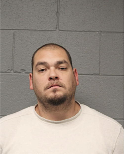 JUSTIN R TOLEDO, Cook County, Illinois