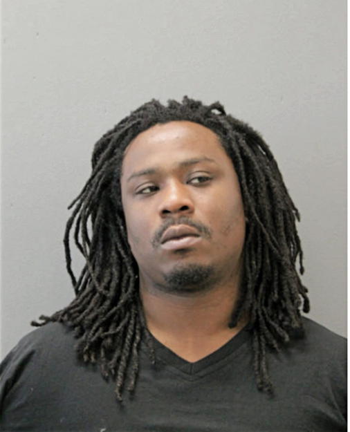 STEVEN T WILLIAMS, Cook County, Illinois