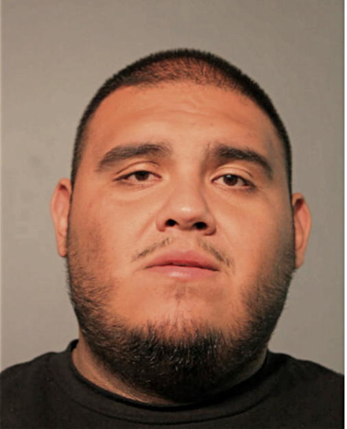 RAMON ARTEAGA, Cook County, Illinois