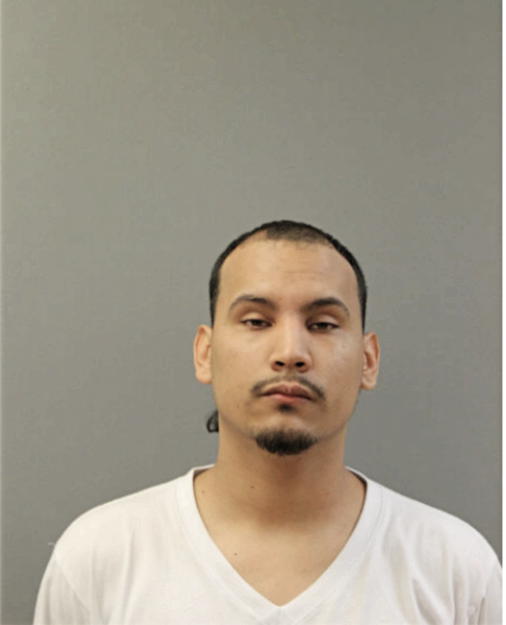 ERIC J ESTRADA, Cook County, Illinois