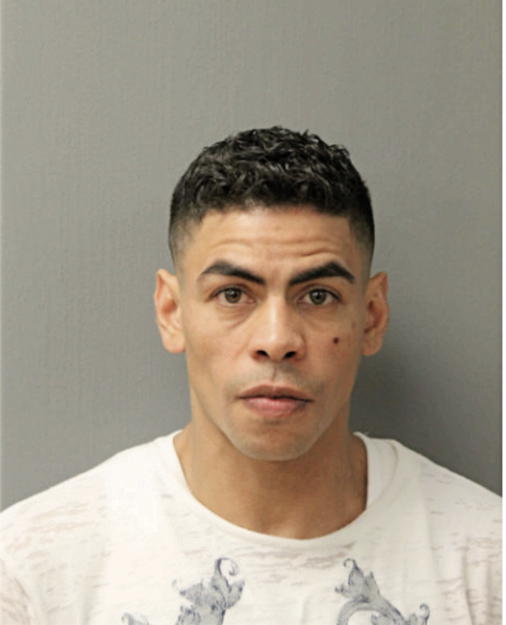 JULIO GARCIA, Cook County, Illinois