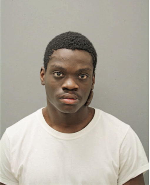 JIMMIE L GIBSON, Cook County, Illinois