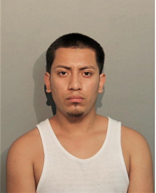 JESUS GONZALEZ, Cook County, Illinois